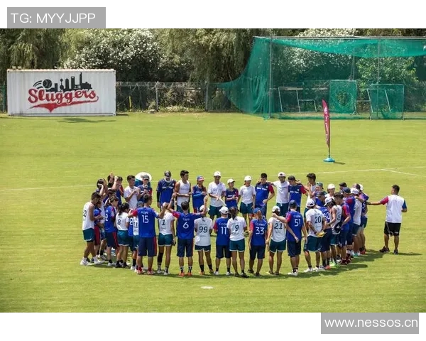 南京飞盘队与深圳飞盘队的耐力较量赛后分析与总结